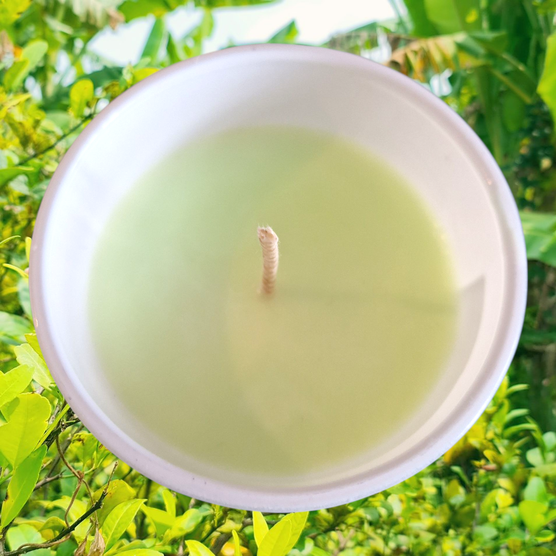 Lemongrass & Ginger Candle 30cl